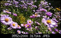 Nokia Lumia 920 - Fotoqualität-wp_20131002_11_44_49_pro.jpg