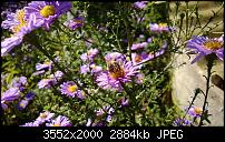 Nokia Lumia 920 - Fotoqualität-wp_20131002_11_45_19_pro.jpg