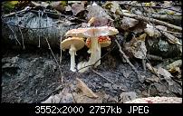 Nokia Lumia 920 - Fotoqualität-wp_20131001_12_16_11_pro.jpg