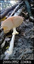 Nokia Lumia 920 - Fotoqualität-wp_20131001_12_17_01_pro.jpg