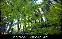 Nokia Lumia 920 - Fotoqualität-wp_20131001_12_20_39_pro.jpg