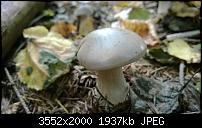 Nokia Lumia 920 - Fotoqualität-wp_20131002_16_42_16_pro.jpg