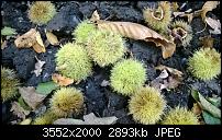 Nokia Lumia 920 - Fotoqualität-wp_20131002_16_50_19_pro.jpg