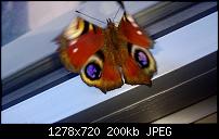 Nokia Lumia 920 - Fotoqualität-wp_20130723_017.jpg