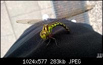 Der Lumia 920 Foto Thread-9715415199_40124f4e8e_b.jpg