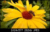 Der Lumia 920 Foto Thread-9825627304_0c84368c12_b.jpg