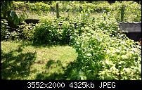 Nokia Lumia 925, Fotoqualität von der verbauten Kamera-wp_20130616_009.jpg