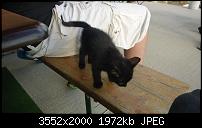 Nokia Lumia 925, Fotoqualität von der verbauten Kamera-wp_20130725_005.jpg