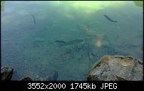 Nokia Lumia 925, Fotoqualität von der verbauten Kamera-wp_20130802_021.jpg