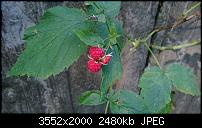 Nokia Lumia 925, Fotoqualität von der verbauten Kamera-wp_20130726_004.jpg