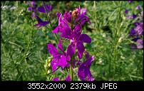 Nokia Lumia 925, Fotoqualität von der verbauten Kamera-wp_20130726_008.jpg