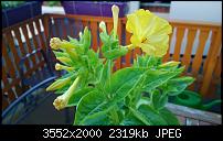 Nokia Lumia 925, Fotoqualität von der verbauten Kamera-wp_20130801_002.jpg