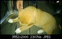 Nokia Lumia 925, Fotoqualität von der verbauten Kamera-9573665573_ba8335a568_o.jpg