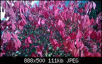 Nokia Lumia 925, Fotoqualität von der verbauten Kamera-1385274891405.jpg