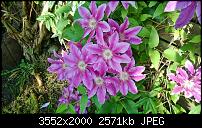 Nokia Lumia 925, Fotoqualität von der verbauten Kamera-wp_20130619_006.jpg