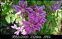 Nokia Lumia 925, Fotoqualität von der verbauten Kamera-wp_20130620_001.jpg