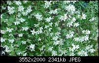 Nokia Lumia 925, Fotoqualität von der verbauten Kamera-wp_20130620_003.jpg