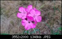 Nokia Lumia 925, Fotoqualität von der verbauten Kamera-wp_20130622_004.jpg