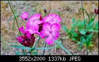 Nokia Lumia 925, Fotoqualität von der verbauten Kamera-wp_20130704_006.jpg