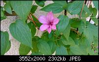 Nokia Lumia 925, Fotoqualität von der verbauten Kamera-wp_20130705_002.jpg