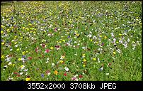 Nokia Lumia 925, Fotoqualität von der verbauten Kamera-wp_20130718_002.jpg