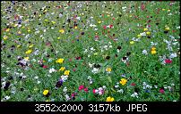 Nokia Lumia 925, Fotoqualität von der verbauten Kamera-wp_20130718_003.jpg