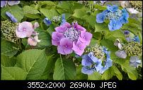 Nokia Lumia 925, Fotoqualität von der verbauten Kamera-wp_20130818_001.jpg