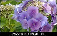 Nokia Lumia 925, Fotoqualität von der verbauten Kamera-wp_20130818_07_47_40_pro.jpg