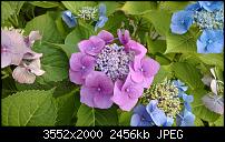 Nokia Lumia 925, Fotoqualität von der verbauten Kamera-wp_20130818_07_48_01_pro.jpg