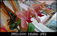 Nokia Lumia 925, Fotoqualität von der verbauten Kamera-wp_20130825_07_49_23_pro.jpg