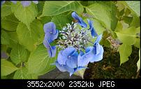 Nokia Lumia 925, Fotoqualität von der verbauten Kamera-wp_20130905_08_42_48_pro.jpg