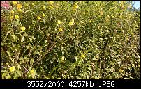 Nokia Lumia 925, Fotoqualität von der verbauten Kamera-wp_20130905_08_43_16_pro.jpg