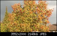 Nokia Lumia 925, Fotoqualität von der verbauten Kamera-wp_20130913_18_06_34_pro.jpg