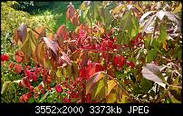 Nokia Lumia 925, Fotoqualität von der verbauten Kamera-wp_20131001_12_52_18_pro.jpg