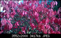 Nokia Lumia 925, Fotoqualität von der verbauten Kamera-wp_20131017_10_28_04_pro.jpg