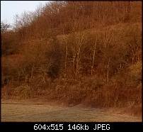 Nokia Lumia 925, Fotoqualität von der verbauten Kamera-925_100_prozent_crop_ii.jpg