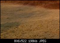 Nokia Lumia 925, Fotoqualität von der verbauten Kamera-925_100_prozent_crop_iii.jpg