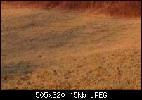 Nokia Lumia 925, Fotoqualität von der verbauten Kamera-iphone_100_prozent_crop_iii.jpg