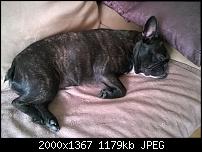 Fotoqualität im Vergleich zum Lumia 820-wp_20141007_002.jpg