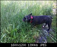 Fotoqualität im Vergleich zum Lumia 820-820_1.jpg