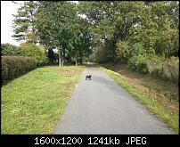 Fotoqualität im Vergleich zum Lumia 820-925.jpg