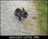 Fotoqualität im Vergleich zum Lumia 820-925_3.jpg