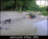 Fotoqualität im Vergleich zum Lumia 820-820_4.jpg