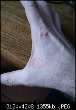 NFC Implantate und die Möglichkeiten auf meinem OnePlus One-img_20150201_151755.jpg