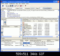 Windows Freeware Sammlung-filezilla-2-2-22_1.gif