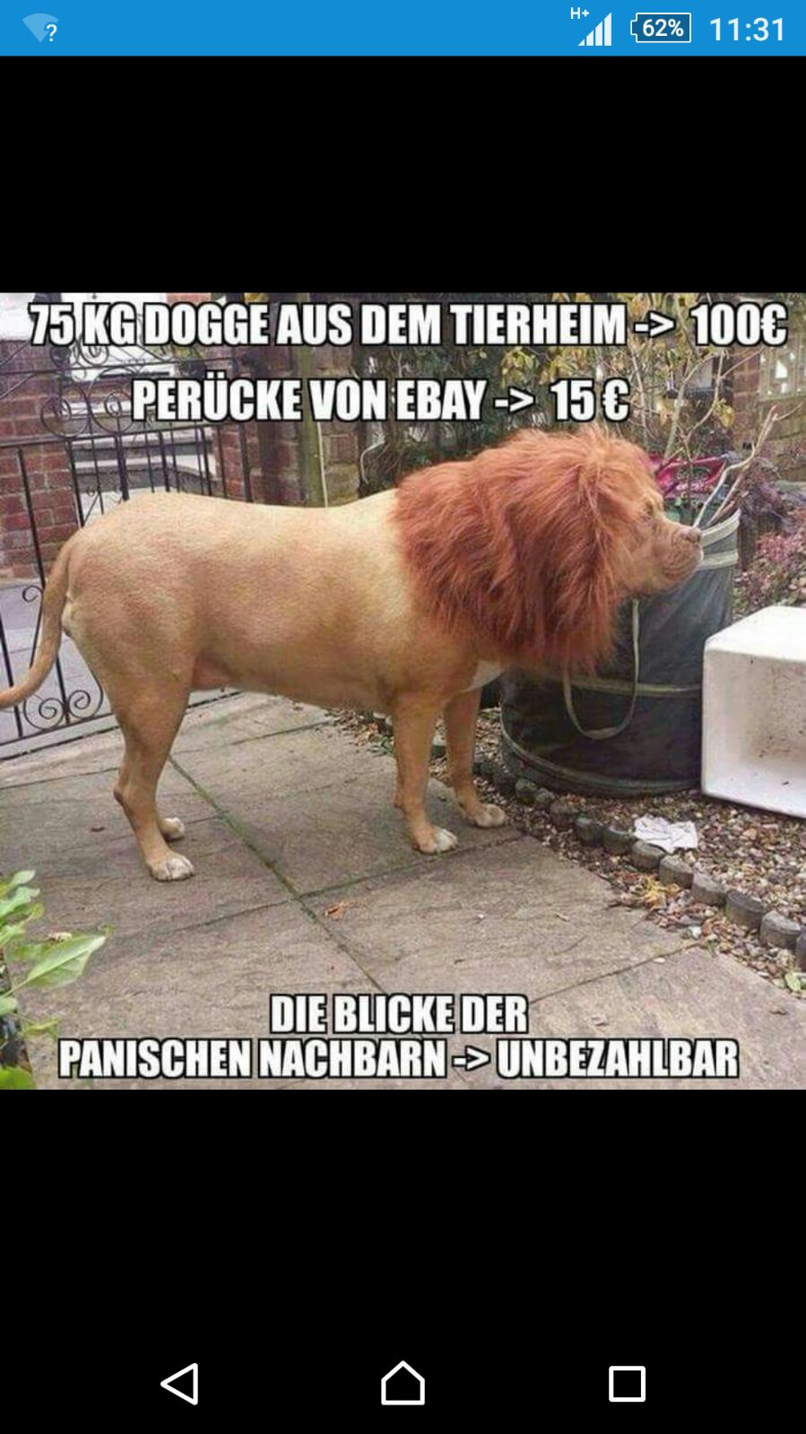 Totlachen Bilder Zum Lachen Für Whatsapp bmpstop Totlachen Bilder Zum Lachen Für Whatsapp bmpstop