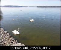 Eure schönsten Fotos mit dem Ativ S.-wp_20130425_004.jpg