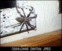 Eure schönsten Fotos mit dem Ativ S.-wp_20130519_005.jpg