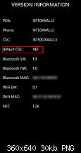 [Howto/Anleitung] Samsung Ativ S - Branding überprüfen und andere Diagnosis Codes-version_branding.png