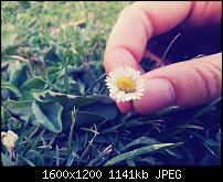 Fotos im RAW Format speichern-camera360_2013_7_20_064446.jpg